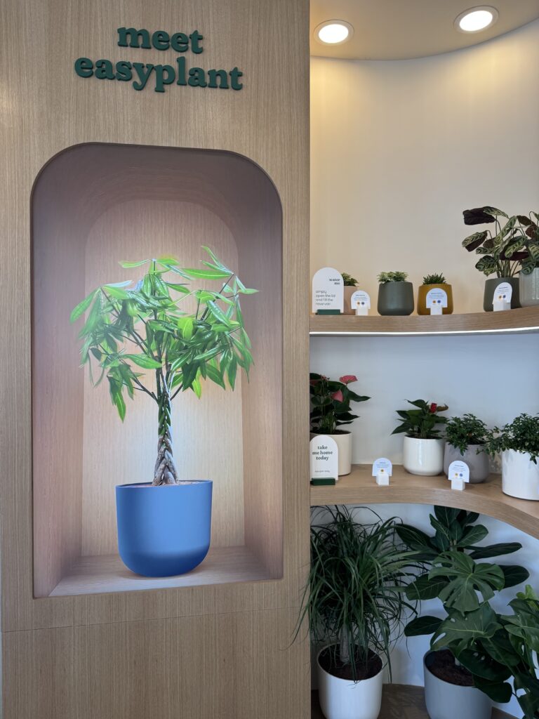 commercial digital signage for retail stores