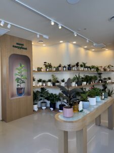 Modern plant shop interior with digital niche display and curved product table