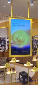 Suspended framed window display featuring luxury branding and campaign content.