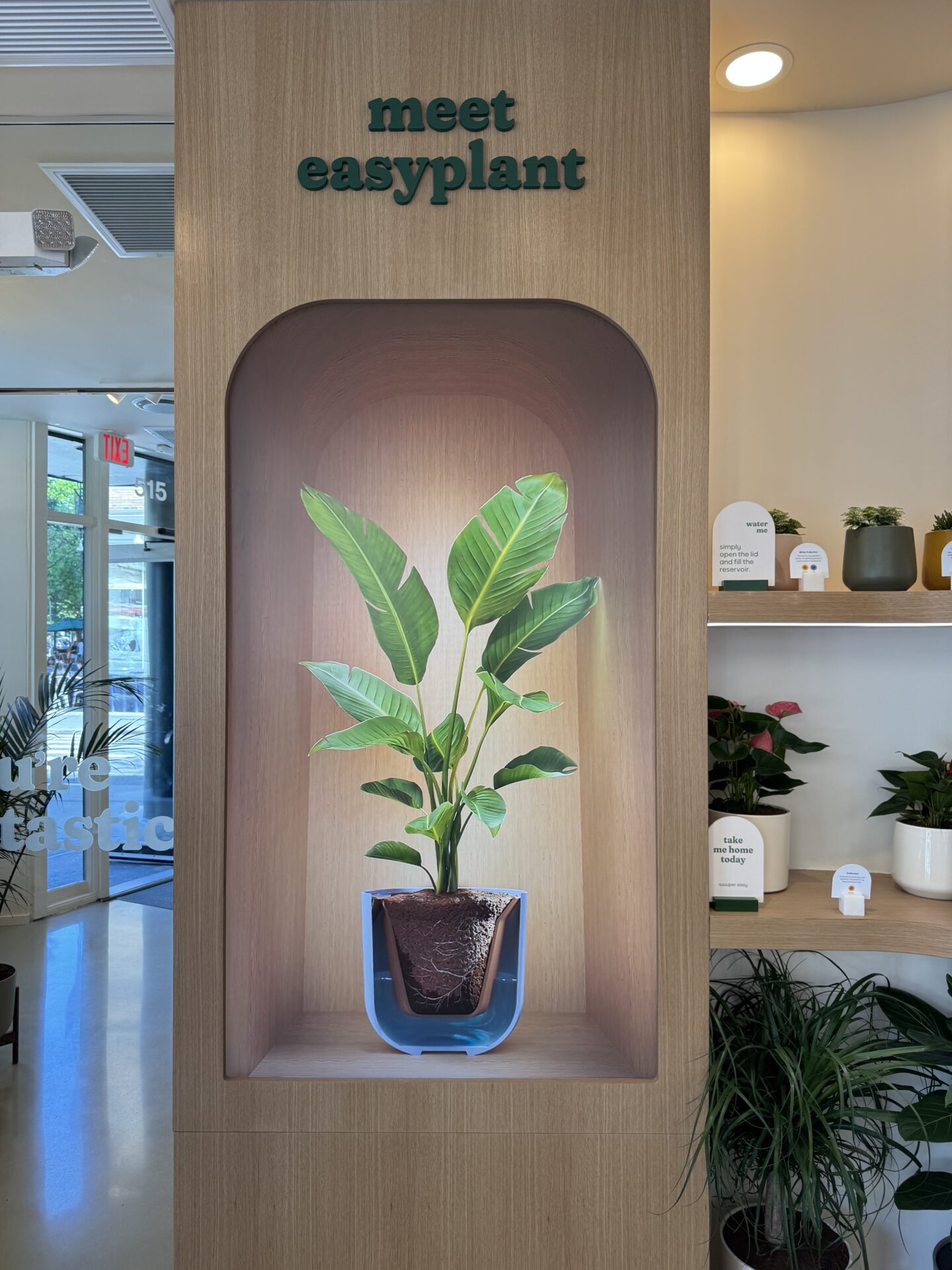 easyplant Nolita NYC boutique storefront with CrownTV digital display